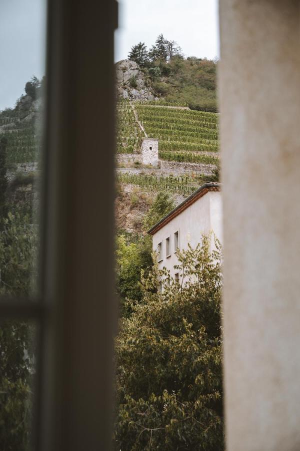 Le Dromardechois - Gite Meuble 6 Personnes Tournon Sur Rhone - Ecolodgite ภายนอก รูปภาพ